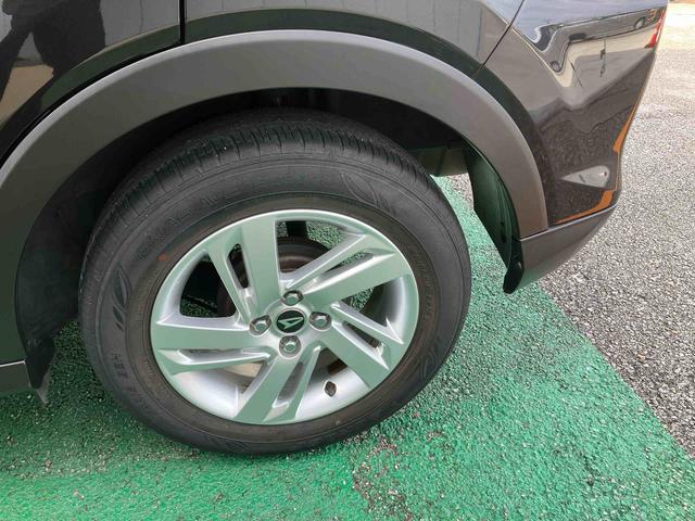 ロッキー Ｘ（22枚目）