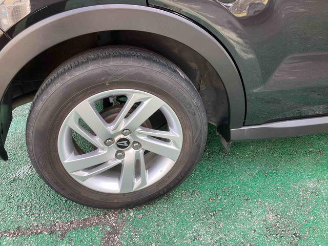 ロッキー Ｘ（23枚目）