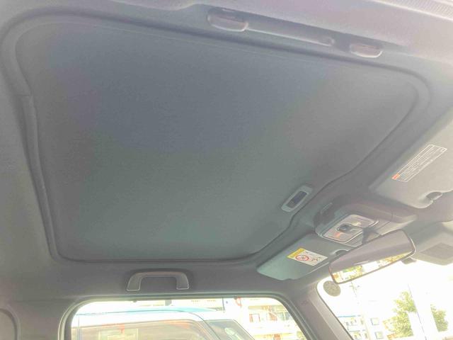 タフト特有スカイルーフトップ