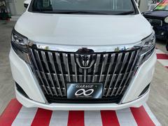 ������������ �أ顡��������ȥ西�����եƥ����󥹡�ξ¦�ѥ���饤�ɥɥ� 6300580A30251226W001 6