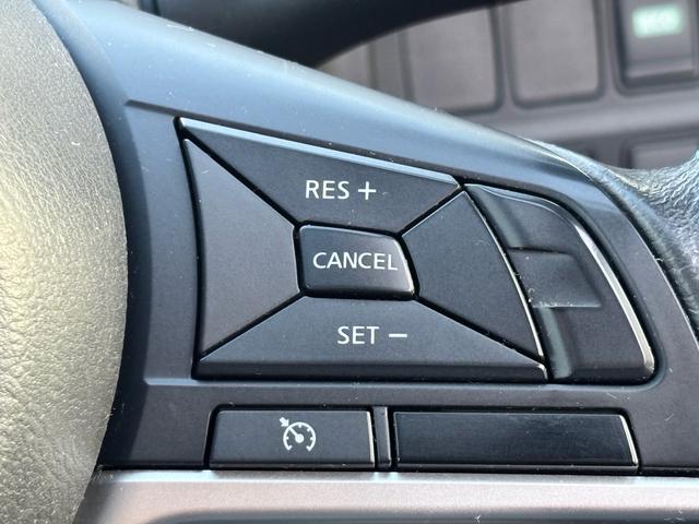 セレナ ライダー オーテック30thアニバーサリー ナビ TV バックカメラ ETC フリップダウンモニター 両側パワースライドドア Bluetooth対応 クルーズコントロール 衝突被害軽減ブレーキ レーン逸脱警報 レザーシートヒーター DVD(32枚目)