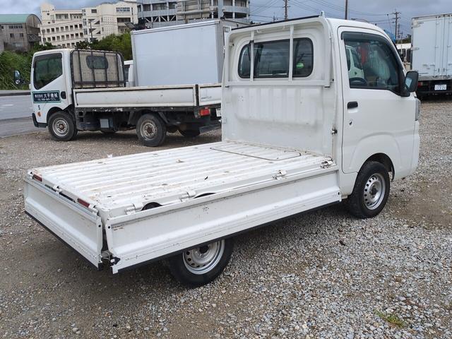 アオリの内側もとても綺麗です！