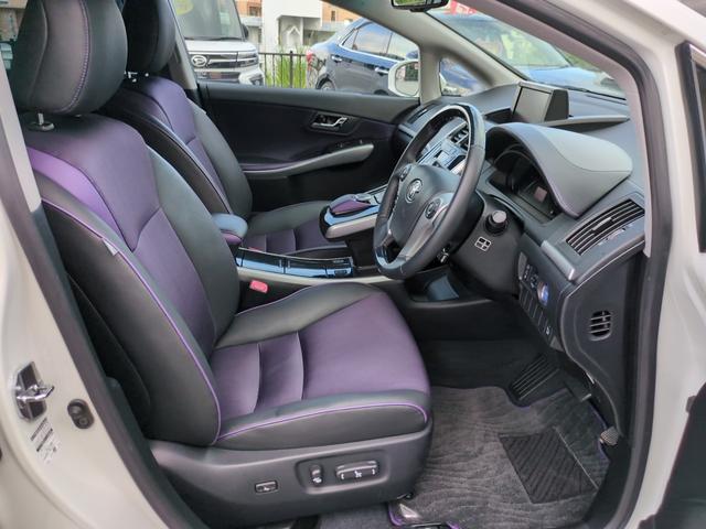 ＳＡＩ Ｇ　ヴィオラ　特別仕様車　フルセグＴＶ　ナビ　Ｂｌｕｅｔｏｏｔｈ　パワーシート　ｂバックカメラ　ステアリングスイッチ（24枚目）