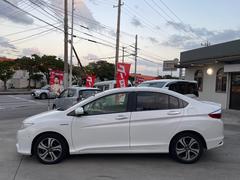 ���쥤�� �ϥ��֥�åɣţء����롼������ȥ����롡�ϡ��ե쥶�������ȡ�������ɻߥ����å��������ȥҡ����� 6300704A30251204W001 7