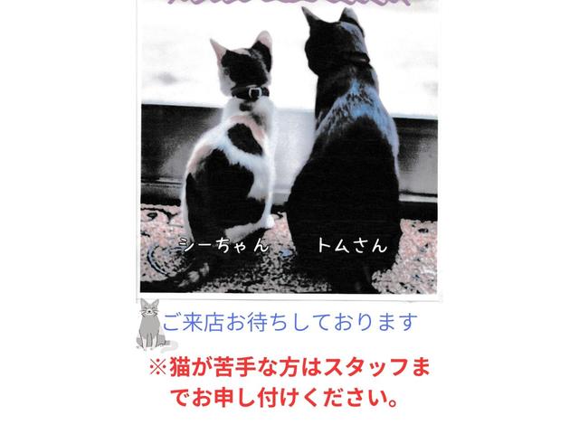 ���Ԍ����������@���n���p�o�b�e���[�����@���I�C���E�t�B���^�[�����@�����C�p�[���E�������܂��̂ň��S�ł���