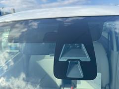 �ǥ��� ����ǯ�ݾ��ա������ﳲ�ڸ��֥졼���������쥹�����ꥢ��󥹥��ʡ� 6300708A30260125W001 7