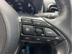 �ڥ졼�������롼������ȥ�����۹�®ƻϩ�Ǥ�Ĺ��Υ���Ԥ��ڤˡ�����ư��®�٤��ݤĥ��롼������ȥ����뤬�����ͷڸ������ƥ��Ϣ�Ȥ��������μ�ξ���Τ��Ƽִ֤��ݤĤ褦��®��Ĵ�ᤷ�Ƥ���ޤ����� 6