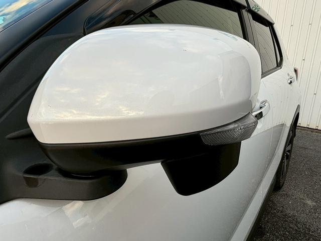 ライズ Z(8枚目)