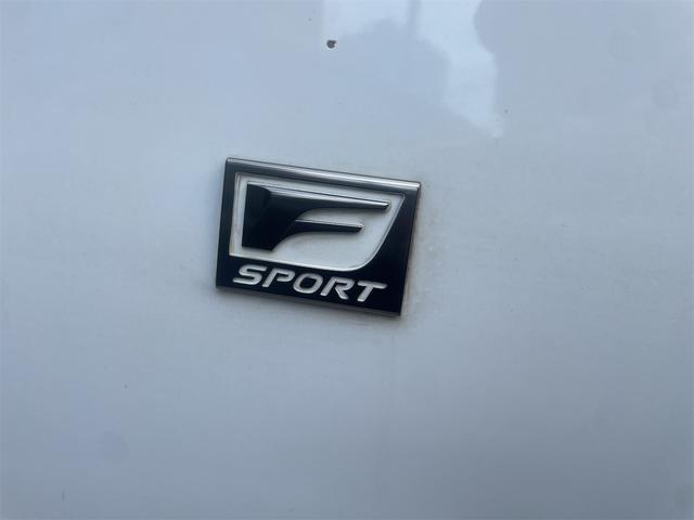 LS LS460 Fスポーツ ワンオーナー ETC クリアランスソナー オートクルーズコントロール バックカメラ ナビ アルミホイール オートマチックハイビーム HID サンルーフ AT シートヒーター シートエアコン(34枚目)