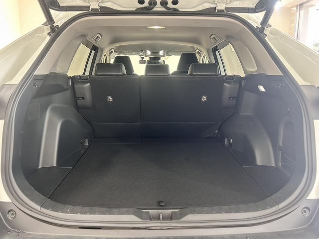 ＲＡＶ４ ハイブリッドＧ　全周囲　衝突軽減　レーダークルーズコントロール　レーンキープ　オートハイビーム　ブラインドスポットモニター　クリアランスソナー　純正ナビ　ＥＴＣ　電動シート　パワーバックドア　シートヒーター・エアコン（66枚目）