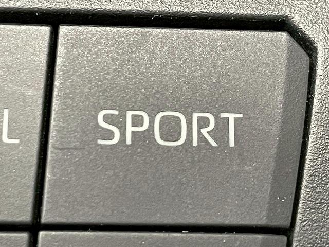 ＲＡＶ４ Ｘ　グリルマーカー　セーフティセンス　ＥＴＣ　純正ディスプレイオーディオ　ブラインドスポットモニター　追従クルーズコントロール　オートマチックハイビーム　クリアランスソナー　オートホールド（68枚目）