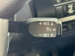 ڥ롼ȥ۹®ԻĹΥɥ饤֤ϫڸƤޤ 7