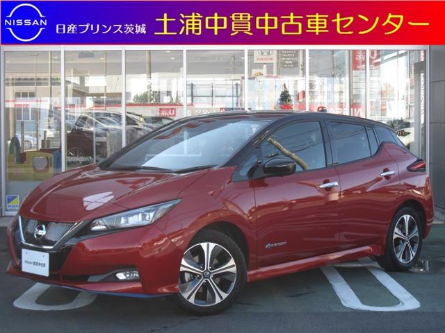 日産 リーフｅ ｇ 初売り限定車 メーカーナビ ｂｏｓｅサウンド アラウンドビュー プロパイロット ｌｅｄヘッドライト レザーパッケージ 純正ドラレコ エマージェンシーブレーキ シートヒーター インテリキー 寒冷地仕様の中古車 令和2 後年式 走行1 9万キロ 車体