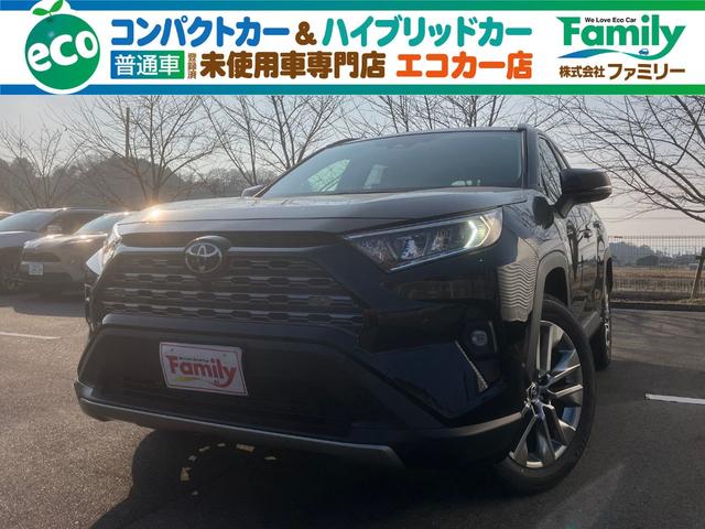 ＲＡＶ４(トヨタ) Ｇ　Ｚパッケージ　４ＷＤ　全周囲カメラ　クリアランスソナー　オートクルーズコントロール　レーンアシスト 中古車画像