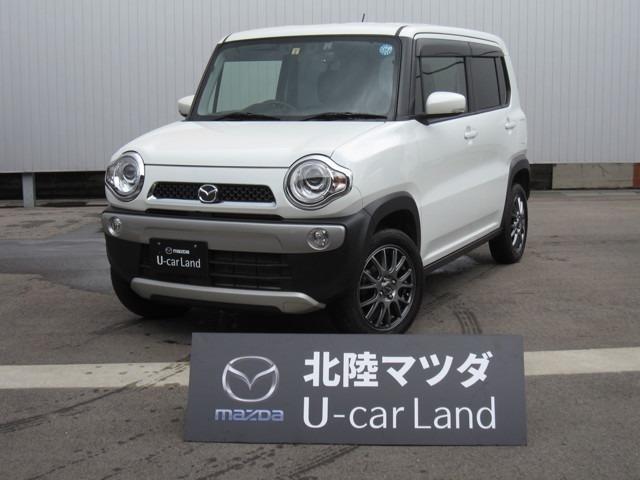 XT 4WD メモリーナビ バックカメラ ETC(1枚目)