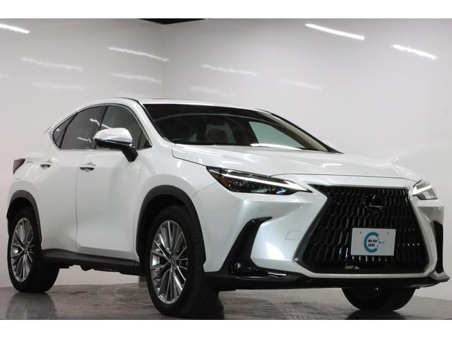 쥯 Σ ΣأܡС̡ر֥֡饦쥶ȡʥҡա