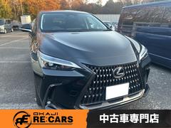 �쥯�������Σء��Σأ������衡�����ϥ���顡���ꥢ��󥹥��ʡ��������ȥ��롼������ȥ�����