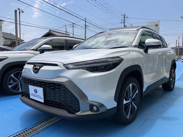 饯 ڡϥ顡ʥӣԣ֡ưꥢ 0200304A30251030W006 1