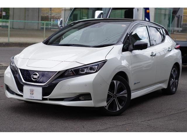 リーフ(日産) Ｇ　本革シート　ＢＯＳＥサウンド＋７スピーカー　ＬＥＤヘッド＆フォグ　プロパイロット　アラウンドビューモニター　コネクトナビ／地デジ／Ｂｌｕｅｔｏｏｔｈ／ＨＤＭＩ／ＥＴＣ２．０　ＢＳＭ　衝突軽減ブレーキ 中古車画像