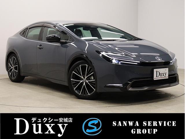 ȥ西 ץꥦ ڡǥץ쥤ǥǥߥ顼ĥƥ