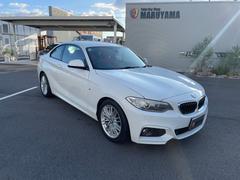 ２シリーズ　２２０ｉクーペ　Ｍスポーツ　赤革シート　ＨＤＤナビ　バックカメラ　ＥＴＣ（ＢＭＷ）
