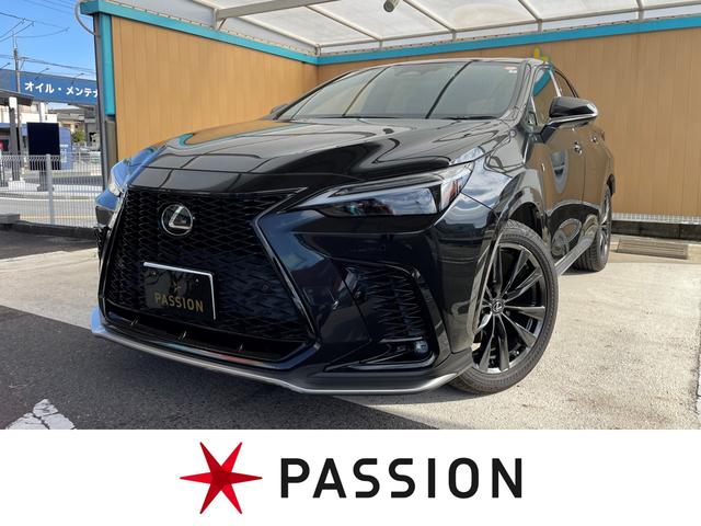 쥯 Σ Σأ衡ƥݡġǥץ쥤ǥ롼