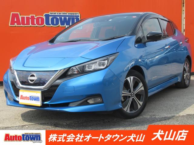 リーフ(日産) Ｇ　（純正メーカーナビ）（全方位カメラ）（ＥＴＣ車載器）（プロパイロット）（セグ欠無し）（フルセグＴ 中古車画像