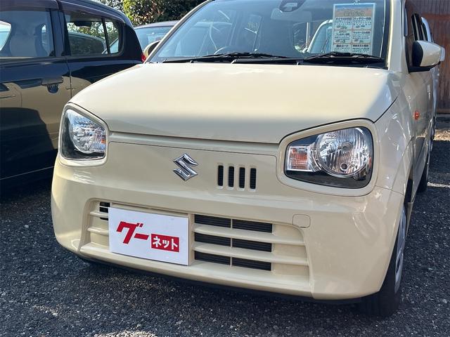   ̡ﳲڸƥࡡ쥹ȥ꡼ɥ󥰥ȥå