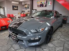 եɡޥ󥰡ӡǣԣե륪ꥸʥ⣱ʡʣ£ã͢ѡˡ졼󥰥ȥ饤סңţãң