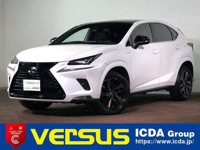LEXUS NX NX300 BRONZE EDITION
