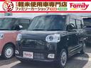 carPhoto