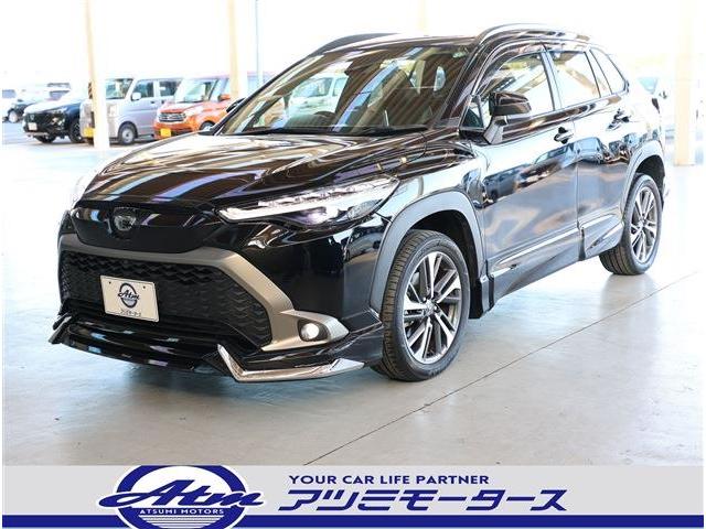 ̥졼ɡץ¿Ծ Ǥ֡ѥΥޥ롼դȥ西եƥ󥹡 1