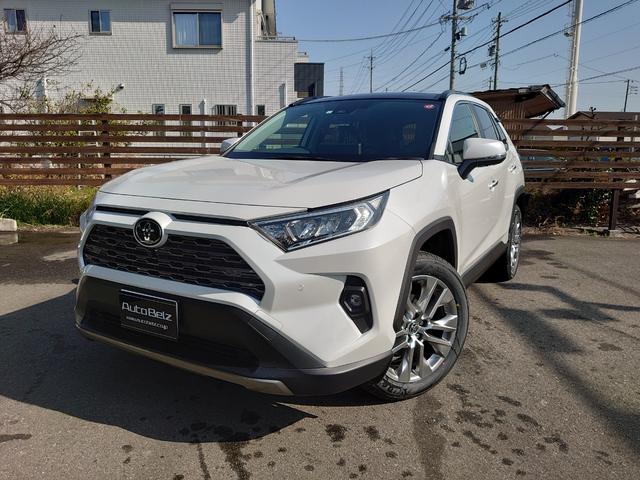 トヨタRAV4 純正フロアマットデラックス | nalans.com