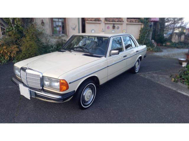 ２３０Ｅ　ｗ１２３　　ｓ１２３　　２３０Ｅ　Ｅ２３０　２８０Ｅ　３００Ｄ　オリジナルカラー　　アイボリー　　ベージュ(1枚目)