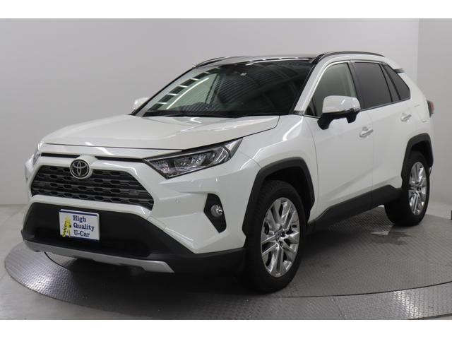 トヨタ ＲＡＶ４ Ｇ Ｚパッケージ パワートランク 大型サンルーフの中古車｜グーネット中古車