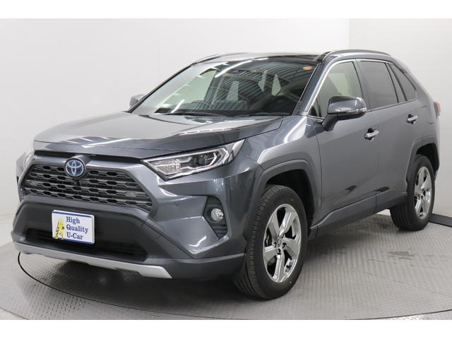 ȥ西 ң֣ ϥ֥åɣǡϥ˥Х󥵡ﳲڸ