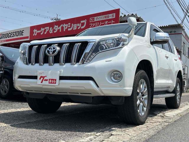 ＴＸ　Ｌパッケージ・Ｇ－フロンティア　４ＷＤ　ＥＴＣ　バックカメラ　クリアランスソナー　オートクルーズコントロール　パワーシート　サンルーフ　ナビ　ＴＶ　オートライト　ＬＥＤヘッドランプ　ヘッドライトウォッシャー　アルミホイール