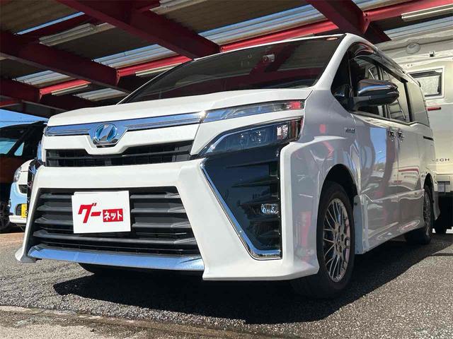 ȥ西  ϥ֥åɣڣӡꡡɥ饤֥쥳ţԣ