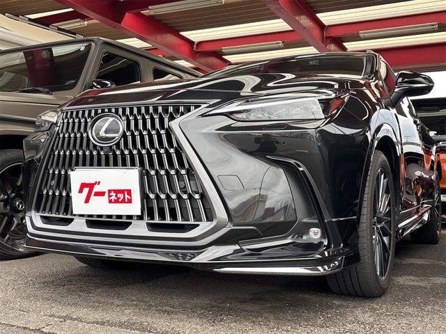 ǺܼҰʳˤ⤴ޤڤˤ礻 ̣ţĥإåɥסưꥢȡߥۥ롡ޡȥ 1