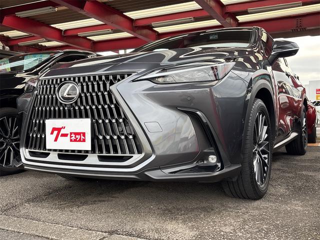 ＮＸ(レクサス) ＮＸ３５０ｈ　ドライブレコーダー　全周囲カメラ　クリアランスソナー　オートクルーズコントロール　レーンアシスト　パワーシート 中古車画像