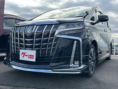 ����ե�����&nbsp;�������ӡ��åѥå���������ǥꥹ�����������ѥ�Хå��ɥ����ϡ��ե쥶�������ȡ��ե�åץ������˥��������롼������ȥ����롡�ե륻���ʥӡ��Хå�����顡�ץå��她�����ȡ��ѥ�����ȡ��ѥ�Хå��ɥ�