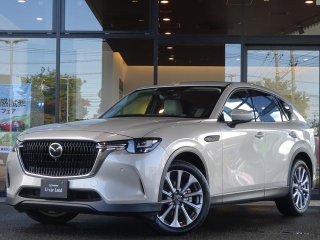 ޥĥ ãءݣ ӡ̥ѥåʥӥ󡡥ɥ饤֥쥳