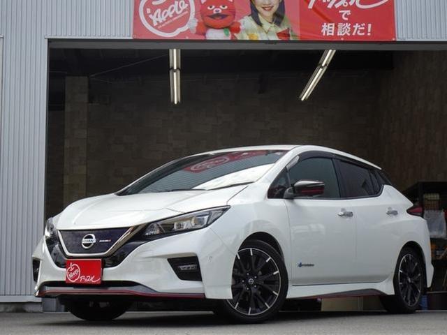 日産リーフSエアロスタイル 純正 ブルー 流用に | www.esn-ub.org