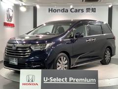 ۥǥåϥ֥åɡ塧ȣţ֥֥롼ȡǯݾڡر졡ʡ