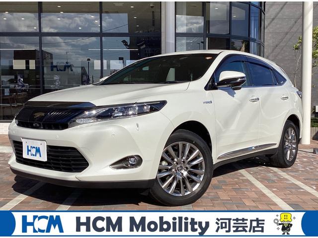 ȥ西 ϥꥢϥ֥å ץߥࡡɥХ󥹥ɥѥåͷڸʥ