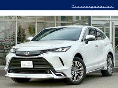 ȥ西ϥꥢϥ֥åɡڡ쥶ѥåʥӡǥꥹʣ