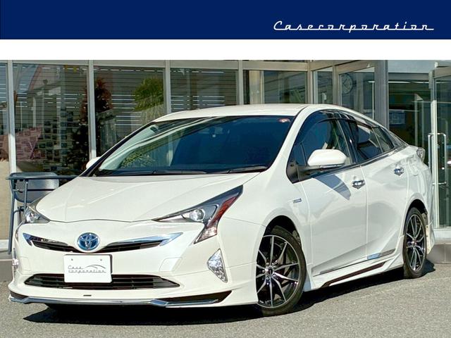 ȥ西 ץꥦ ӥġ󥰥쥯󡡥ǥꥹʣơӡҡˡʥӡ쥶