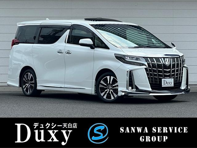 ȥ西 ե ӡåѥåǥꥹĥࡼ롼