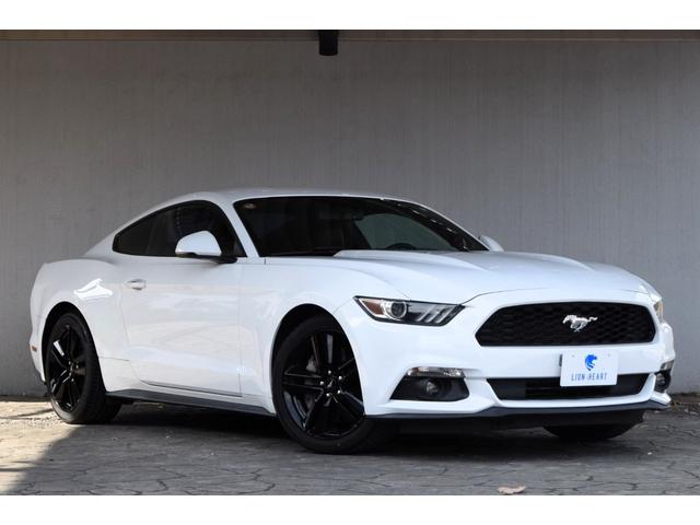 ե ޥ 䡼ǥ󡡣֡ǥ顼ƥʥ󥹼ξ