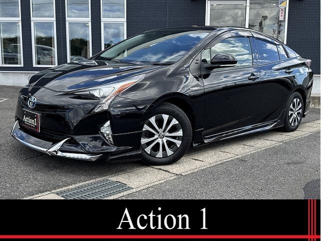 ȥ西 ץꥦ ӡҳե륨ʥӣԣ֡Хå